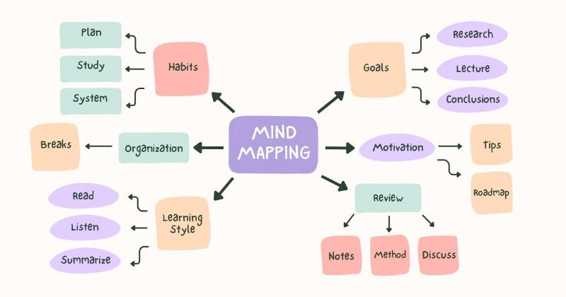 Biểu đồ hoặc bảng so sánh đơn giản giữa các loại bông hồng đẹp nhất phổ biến dựa trên các tiêu chí như hình dáng, mùi hương, và ứng dụng.